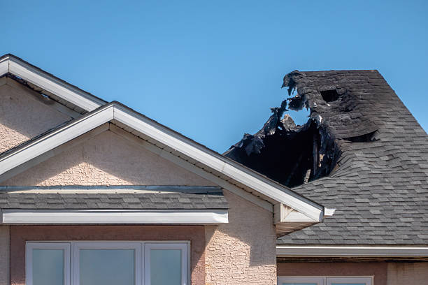 Top rated local Fire Damage Removal specialists in Luke Air Force Base, AZ